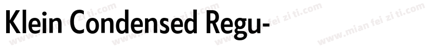 Klein Condensed Regu字体转换